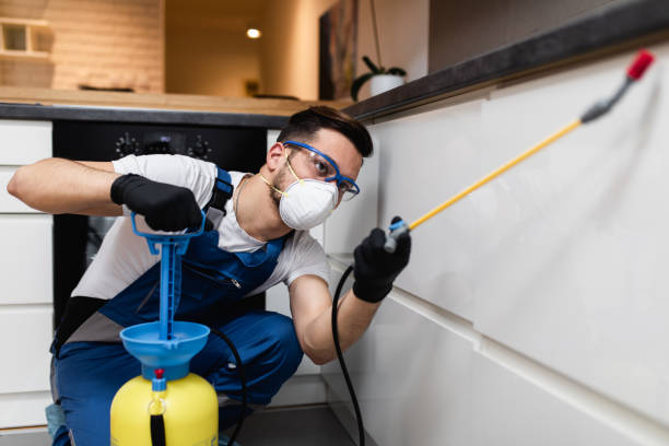 Flea Control Services in Fergus Falls, MN