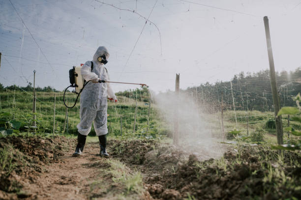 Pest Prevention Services in Fergus Falls, MN