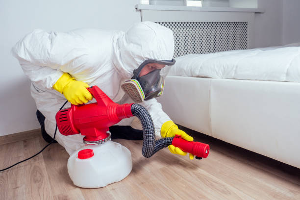 Wasp Removal Services in Fergus Falls, MN
