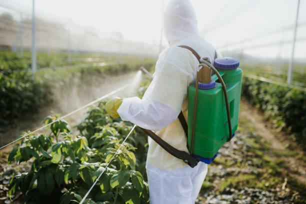 Best Commercial Pest Control Services  in Fergus Falls, MN